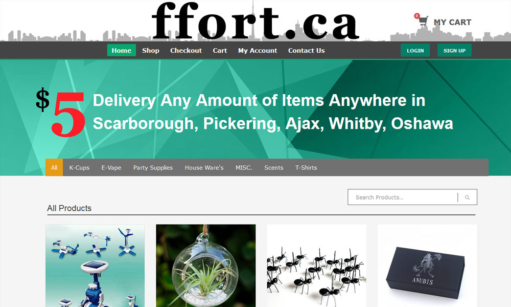 eCommerce Web Design Calgary