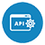Shopify API Development