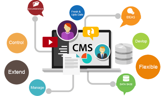 CMS Web Design & Development In Calgary